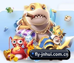 fly-jnhui.com.cn的故事