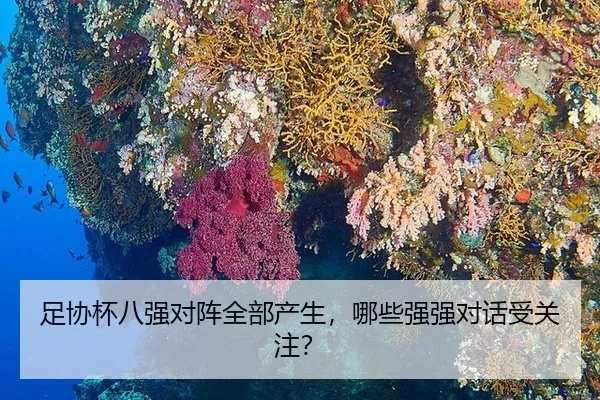 zu-xie-bei-ba-qiang-dui-zhen-quan-bu-chan-sheng-na-xie-qiang-qiang-dui-hua-shou-guan-zhu-2-588.jpg